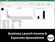 Load image into Gallery viewer, Business Launch Income and Expense Spreadsheet