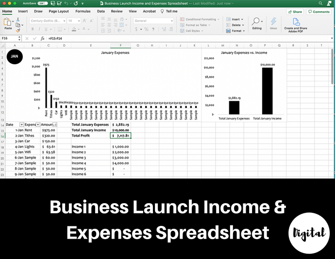 Business Launch Income and Expense Spreadsheet